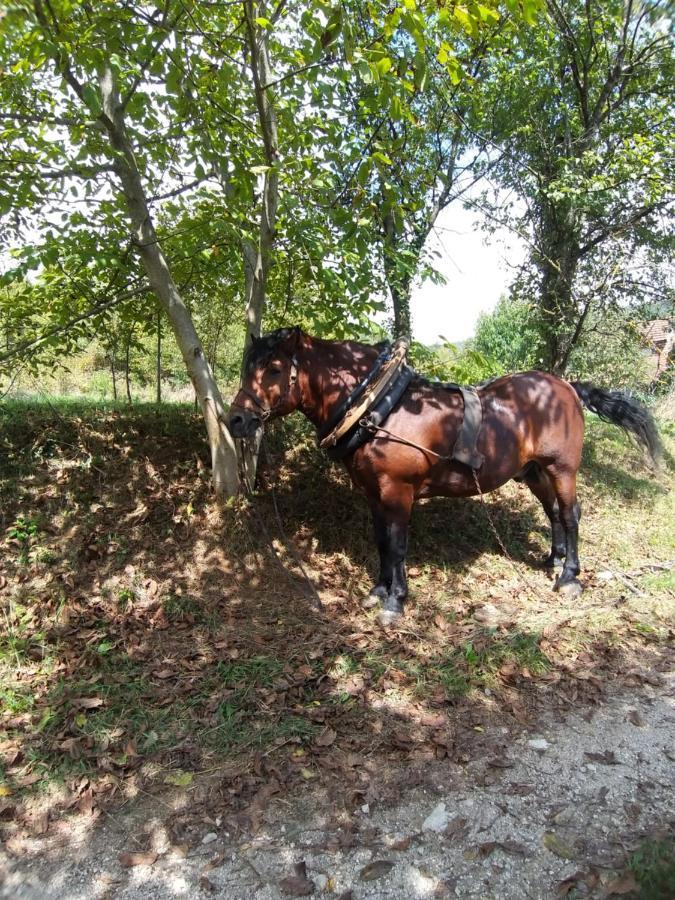 Country House Bihać Екстериор снимка